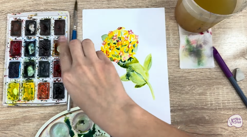 Рисуем Хойя