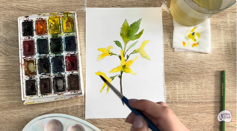 Рисуем Форзиция