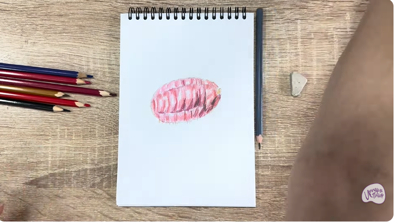Рисуем Кошениль