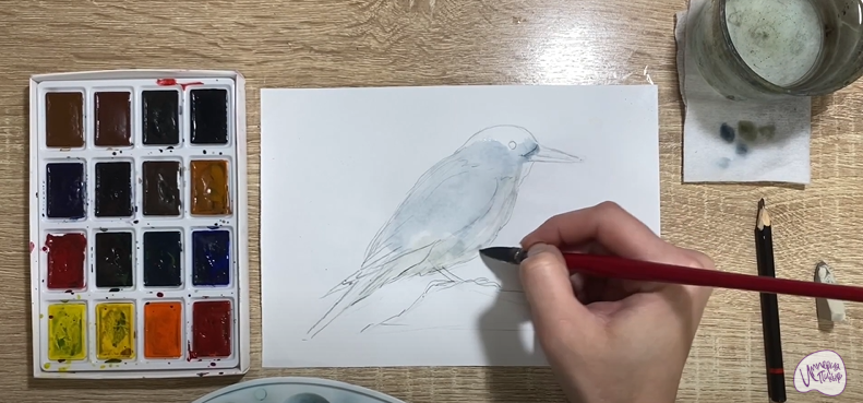 Рисуем Кедровка