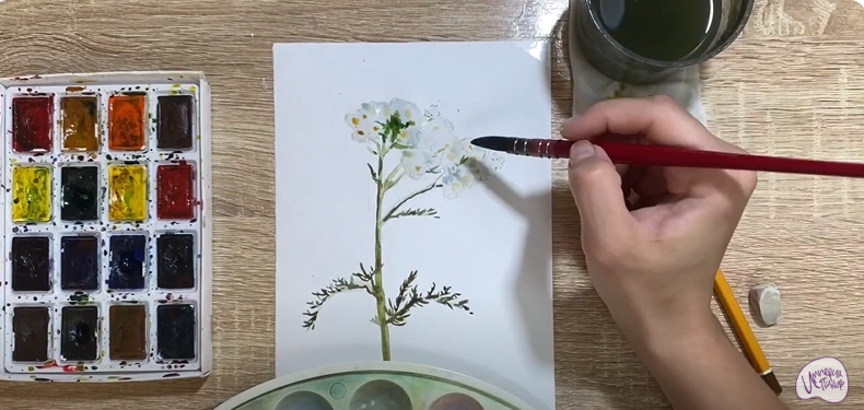 Рисуем Тысячелистник