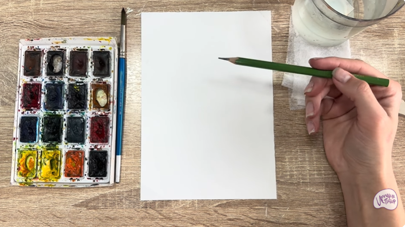 Рисуем Колпак кольчатый