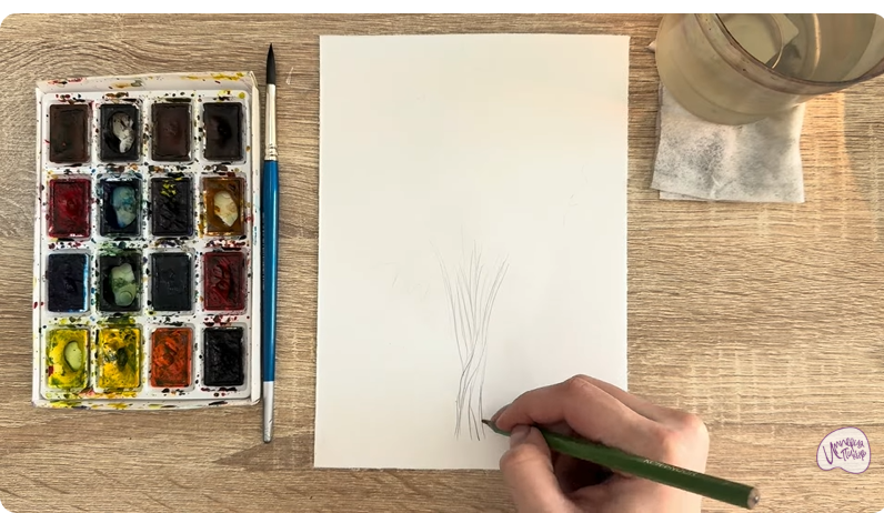 Рисуем Багрянник японский