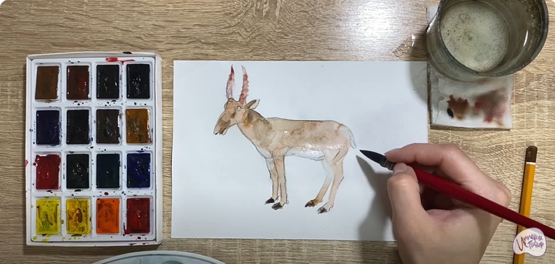 Рисуем Сайгак