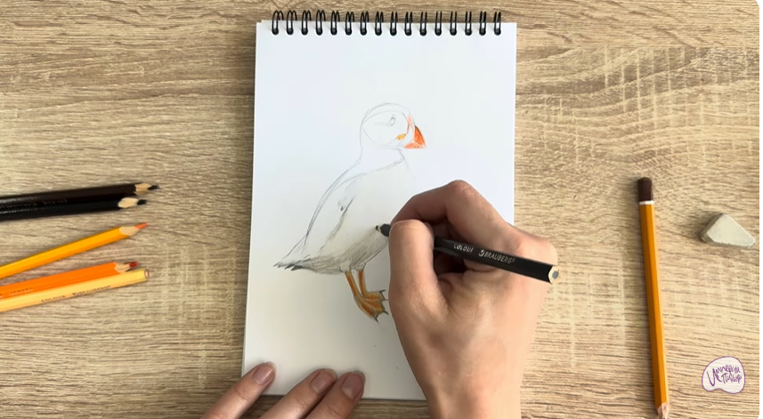 Рисуем Птица тупик