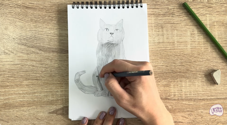 Рисуем Кот породы Шартрез