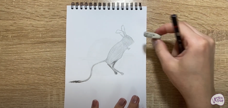 Рисуем Тушканчик