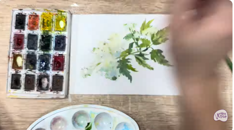 Рисуем Таволга