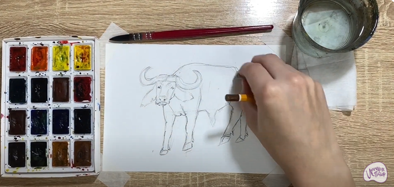 Рисуем Буйвол