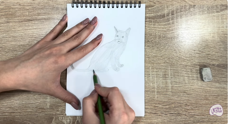 Рисуем Кот породы "Корат"