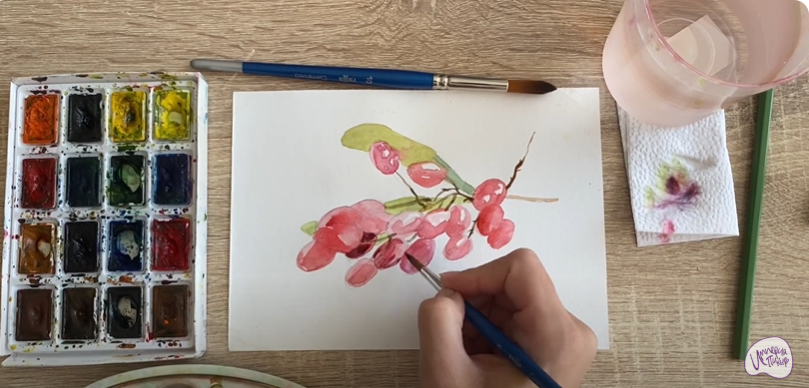 Рисуем Барбарис