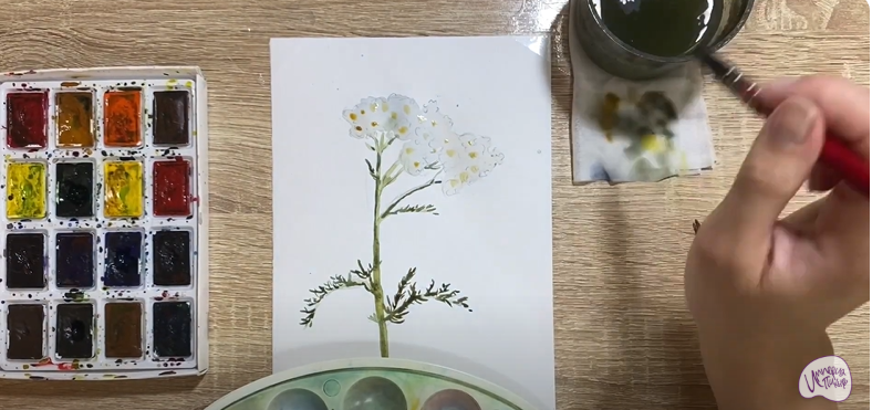 Рисуем Тысячелистник