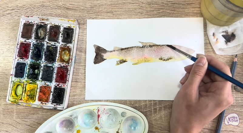 Рисуем Кумжа