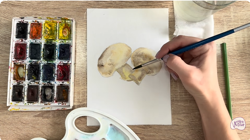 Рисуем Шампиньоны