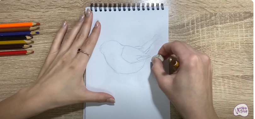 Рисуем Птичка "Зарянка"