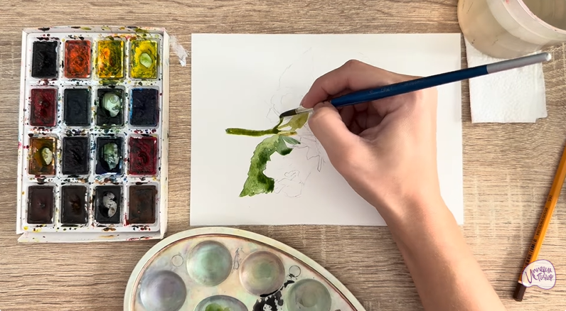 Рисуем Алтей лекарственный