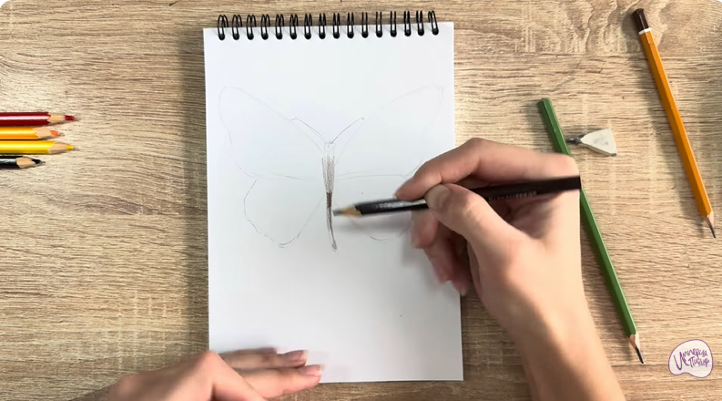 Рисуем Малинница обыкновенная