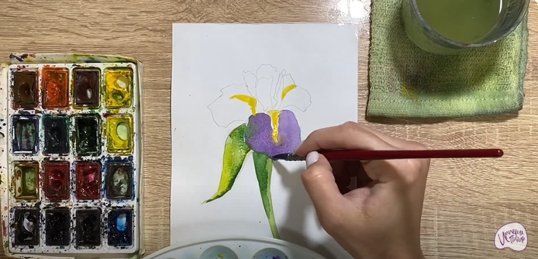 Рисуем Ирис