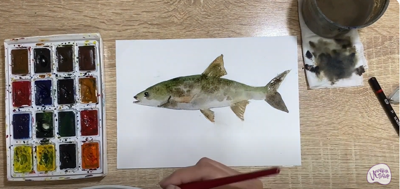 Рисуем Жерех