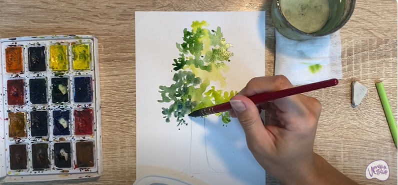 Рисуем Секвойя