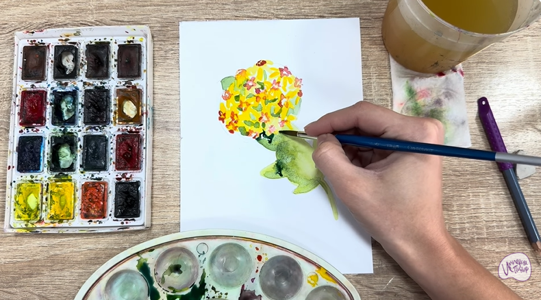 Рисуем Хойя