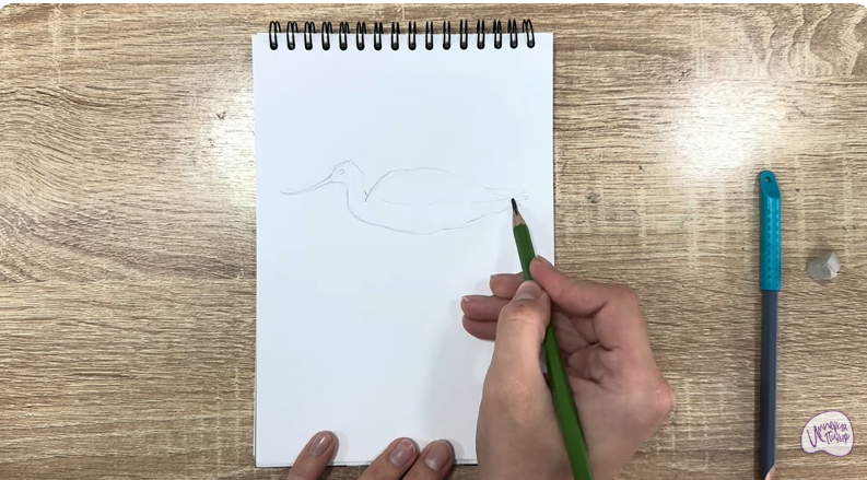 Рисуем Шилоклювка