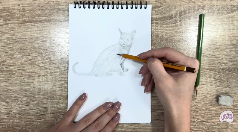 Рисуем Кот породы "Корат"