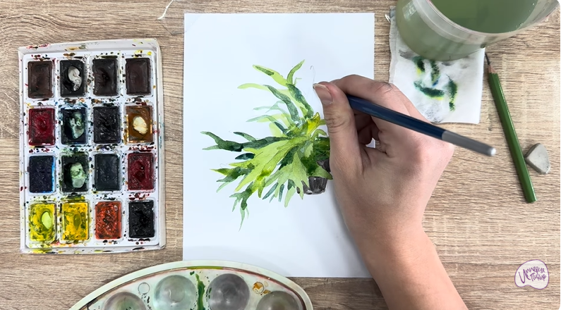 Рисуем Платицериум в горшке