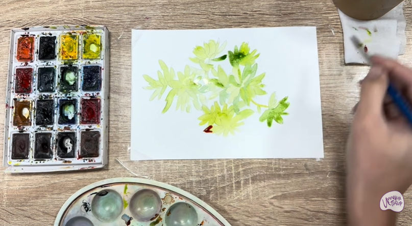 Рисуем Очиток