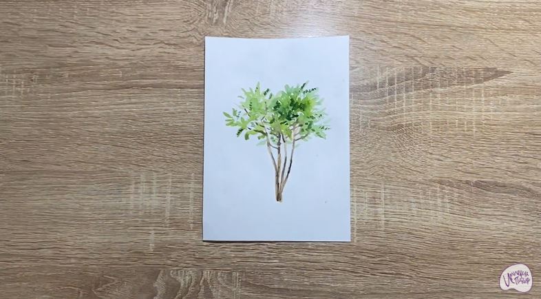 Рисуем Айлант