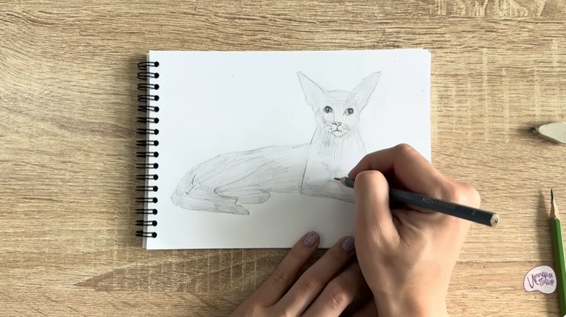 Рисуем Ориентальная кошка
