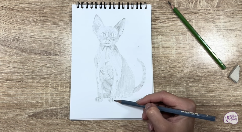 Рисуем Девон Рекс