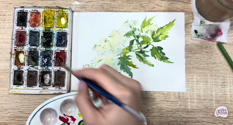 Рисуем Таволга