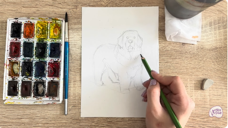 Рисуем Собака породы Ньюфаундленд