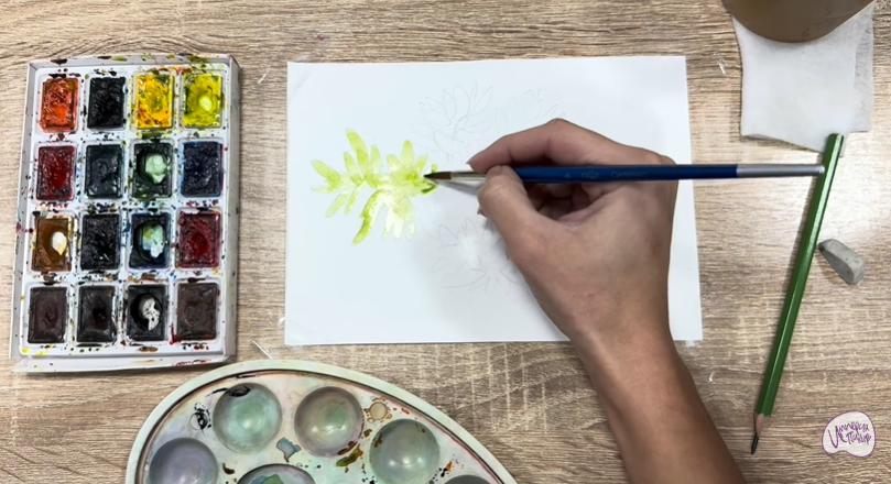 Рисуем Очиток