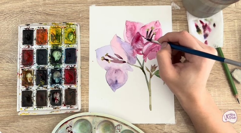 Рисуем Бугенвиллея