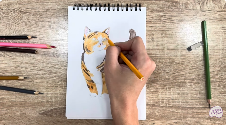 Рисуем Кошка породы "Манчкин"