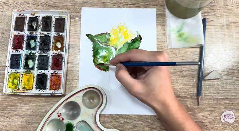 Рисуем Диервилла