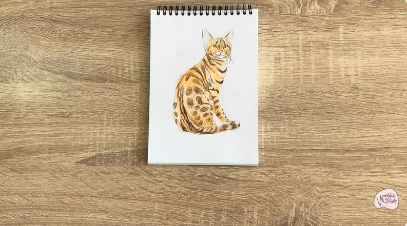 Рисуем Кошка Тойгер