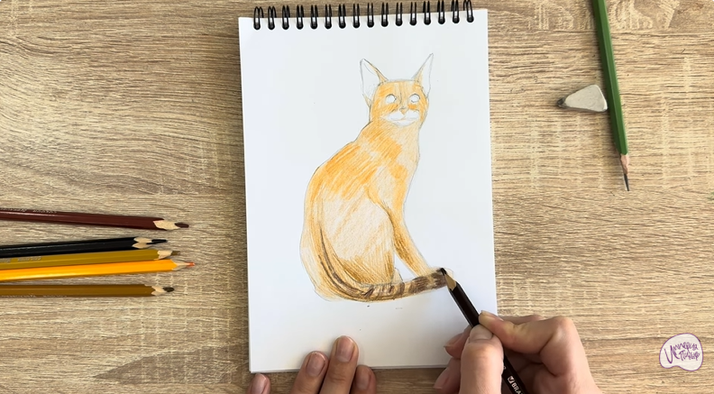 Рисуем Кошка Тойгер