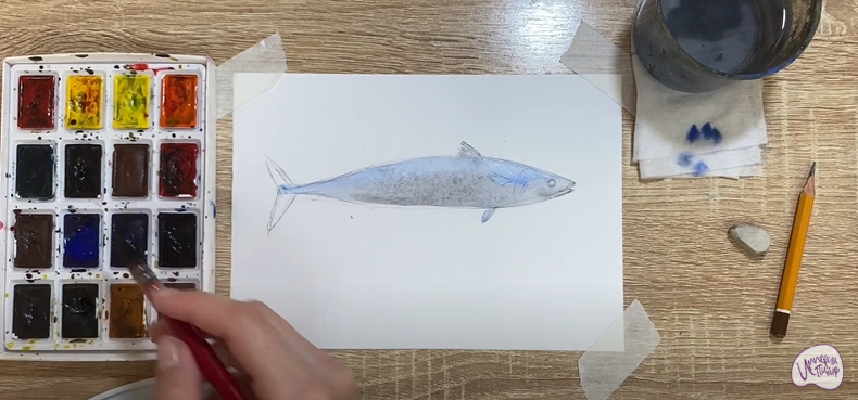 Рисуем Скумбрия