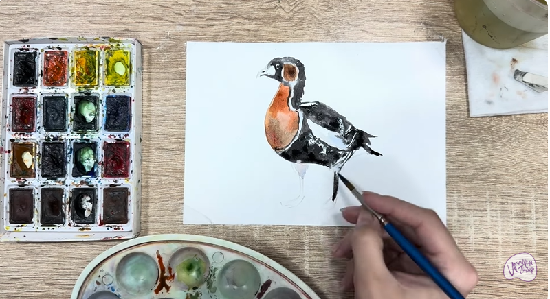 Рисуем Краснозобая казарка