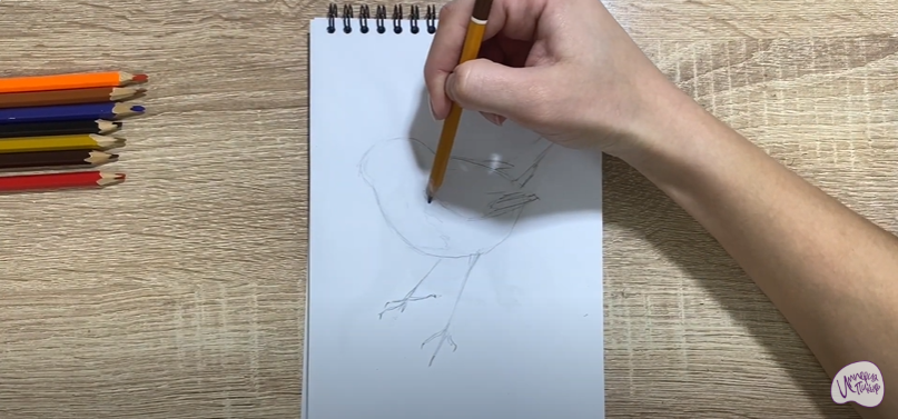 Рисуем Птичка "Зарянка"