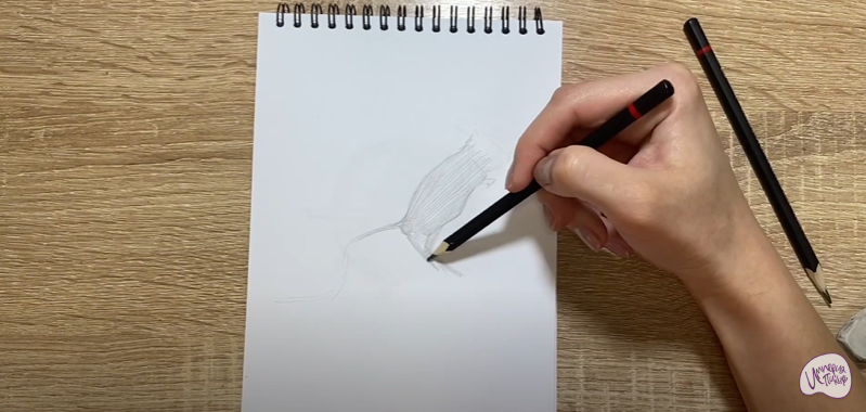 Рисуем Тушканчик
