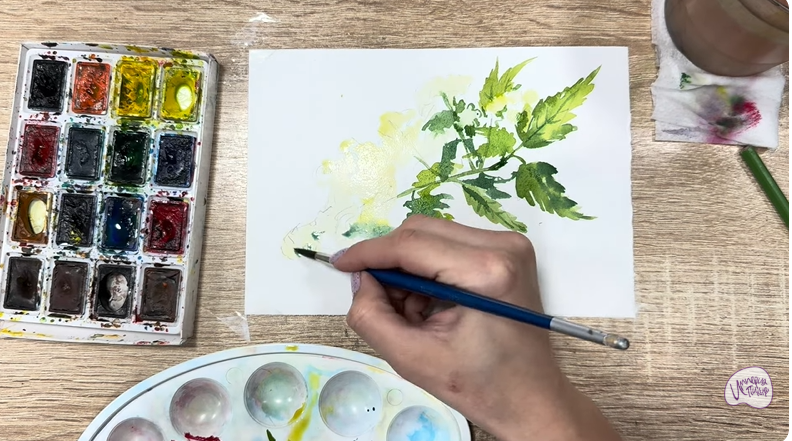 Рисуем Таволга