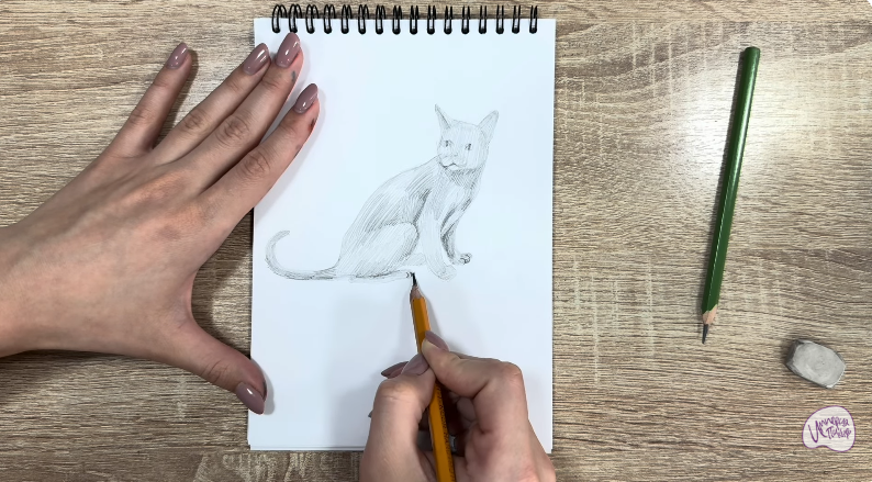 Рисуем Кот породы "Корат"