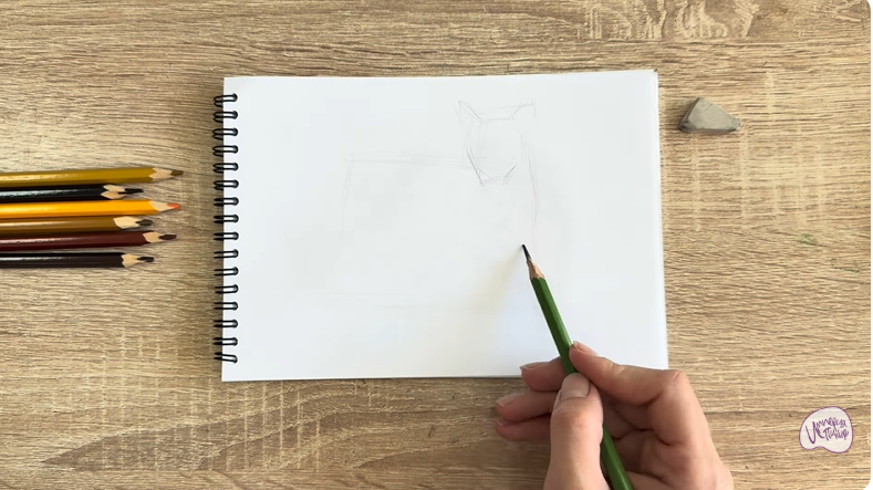 Рисуем Кот породы Оцикет