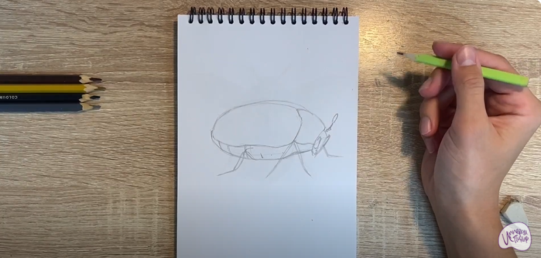 Рисуем Кожеед