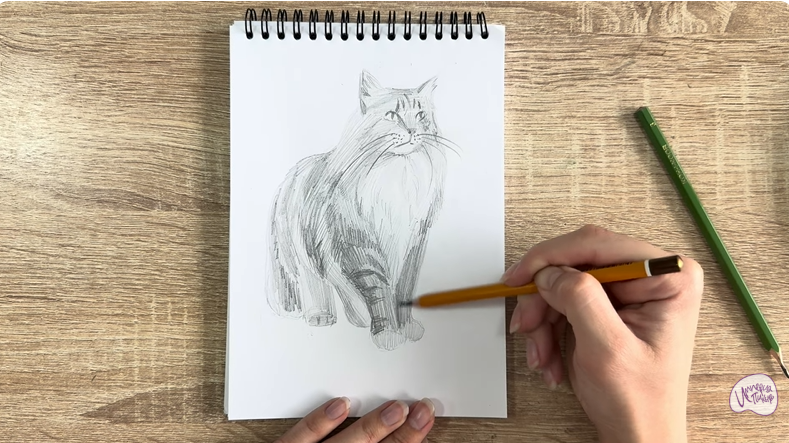 Рисуем Норвежский лесной кот