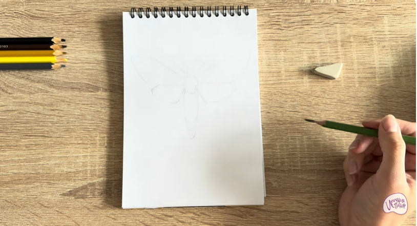 Рисуем Древесница въедливая